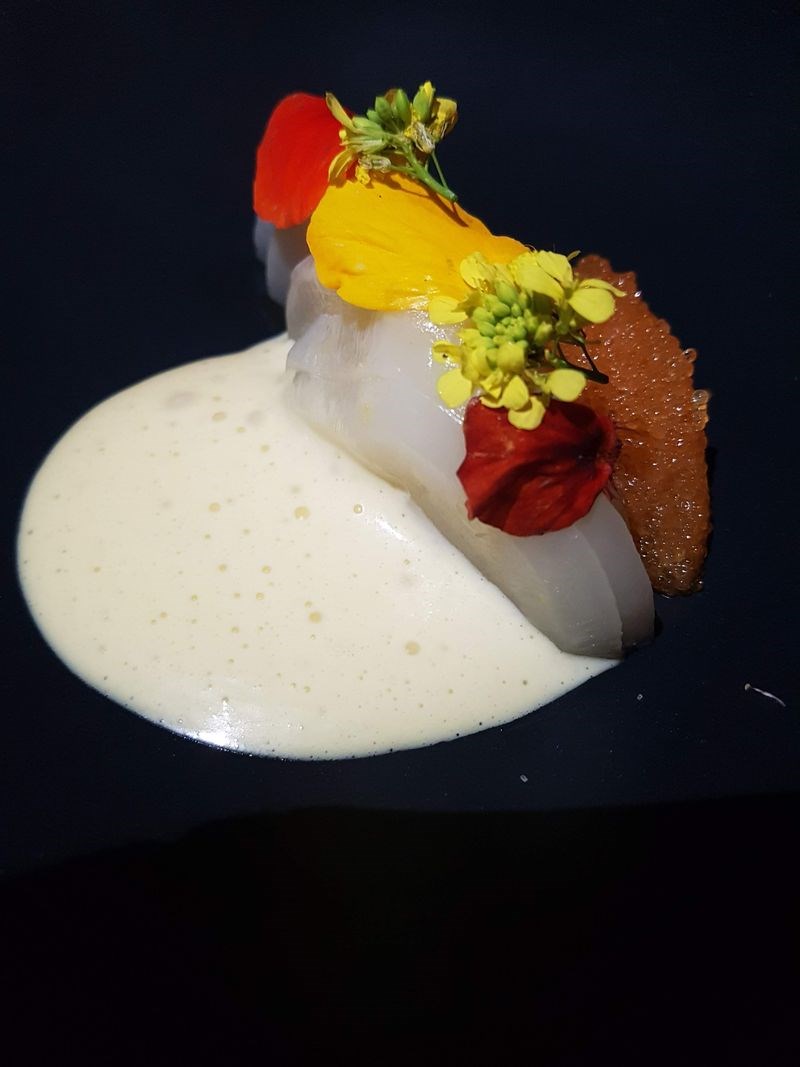 sani gourmet