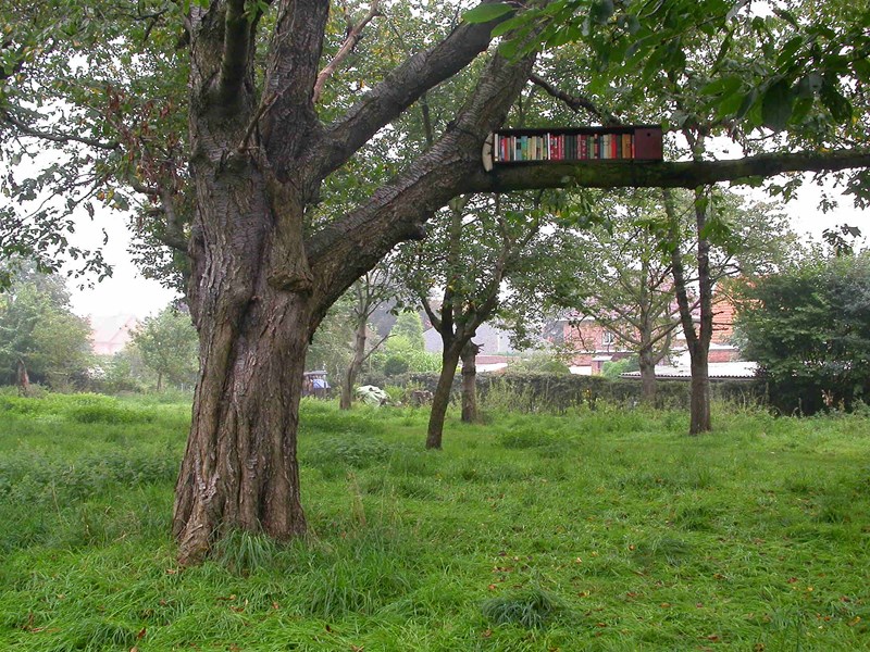 Libraries as Gardens