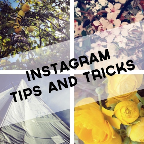 Insta-Success: Τι κάνει μια φωτογραφία δημοφιλή στο instagram;