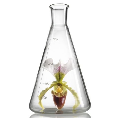 Οδηγός γονιμότητας