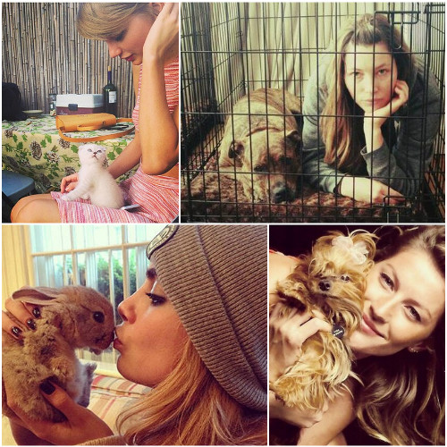 #petlove: Οι πιο χαριτωμένες αναρτήσεις των stars με τα κατοικίδιά τους