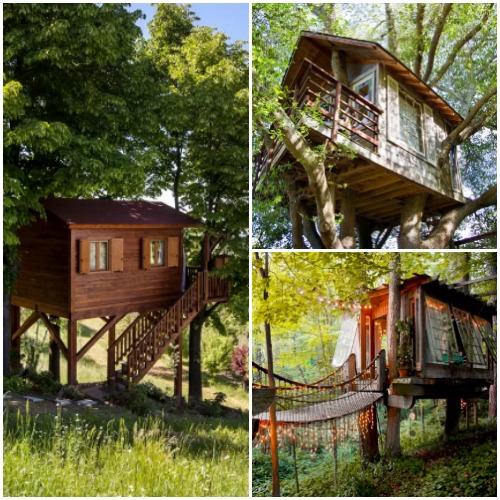 Αυτά είναι τα πιο περιζήτητα δεντρόσπιτα