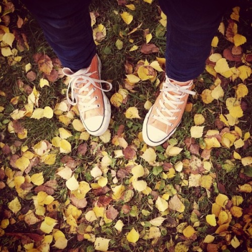 #Fall: Στο instagram κάνει φθινόπωρο