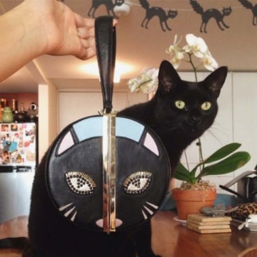 Harley Viera Newton for Diane Von Furstenberg: Με έμπνευση μια γάτα