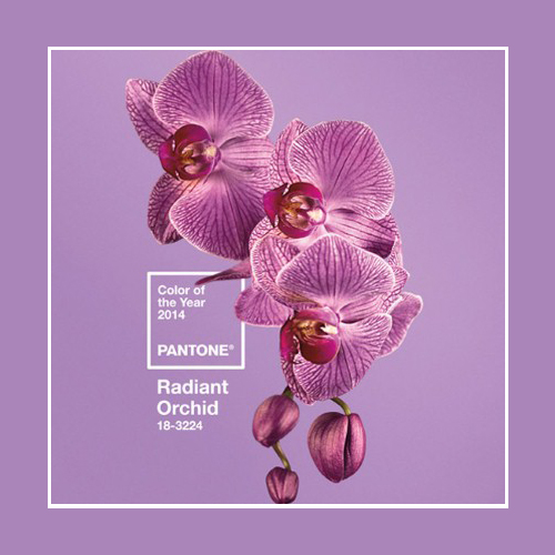 Το 2014 θα έχει χρώμα... Radiant Orchid