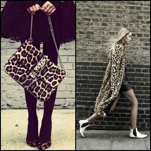 Trending Now: Animal Print