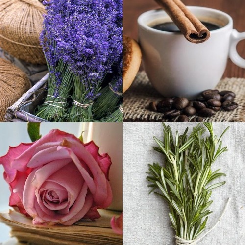 8+1 εκπληκτικές μυρωδιές που θα ενισχύσουν τη διάθεσή σου