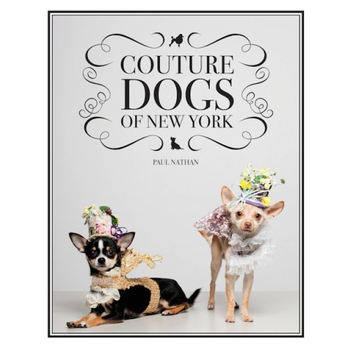 «Couture Dogs Of New York»: Το νέο αγαπημένο μας βιβλίο