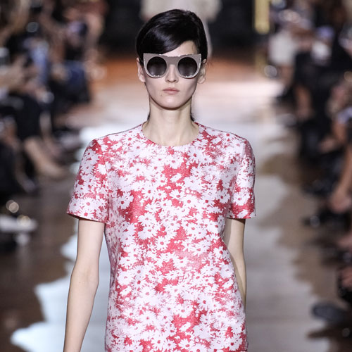 Trending Now: Μαργαρίτες