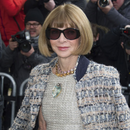 Anna Wintour | Επιβεβαίωσε τη σχέση της με τον Bill Nighy στο Met Gala;