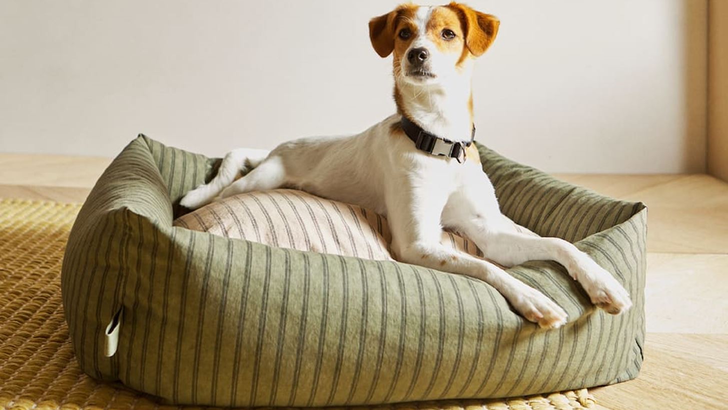 10 αξεσουάρ για το κατοικίδιό σου από τη συλλογή Zara Home