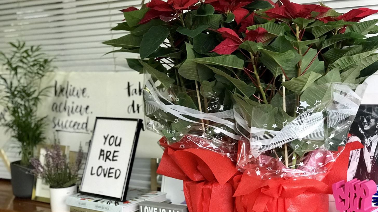 12 &#x394;&#x3B5;&#x3BA;&#x3B5;&#x3BC;&#x3B2;&#x3C1;&#x3AF;&#x3BF;&#x3C5; | &#x3A4;&#x3BF; &#x3B1;&#x3BB;&#x3B5;&#x3BE;&#x3B1;&#x3BD;&#x3B4;&#x3C1;&#x3B9;&#x3BD;&#x3CC; &#x3AD;&#x3C7;&#x3B5;&#x3B9; &#x3C4;&#x3B7; &#x3B4;&#x3B9;&#x3BA;&#x3AE; &#x3C4;&#x3BF;&#x3C5; &#x3B3;&#x3B9;&#x3BF;&#x3C1;&#x3C4;&#x3AE;