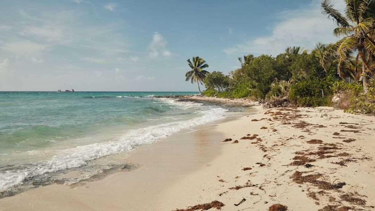 To Airbnb &#x3B1;&#x3BD;&#x3B1;&#x3B6;&#x3B7;&#x3C4;&#x3AC; &#x3B5;&#x3B8;&#x3B5;&#x3BB;&#x3BF;&#x3BD;&#x3C4;&#x3AD;&#x3C2; &#x3B3;&#x3B9;&#x3B1; &#x3B4;&#x3B9;&#x3B1;&#x3BA;&#x3BF;&#x3C0;&#x3AD;&#x3C2; &#x3C3;&#x3C4;&#x3B9;&#x3C2; &#x39C;&#x3C0;&#x3B1;&#x3C7;&#x3AC;&#x3BC;&#x3B5;&#x3C2;