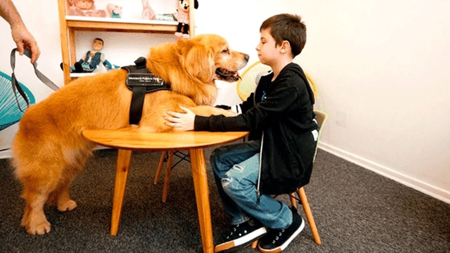 &#x39F; &#x3A4;&#x3B9;&#x3C4;&#x3AC;&#x3BD; &#x3B5;&#x3AF;&#x3BD;&#x3B1;&#x3B9; &#x3BF; &#x3C0;&#x3C1;&#x3CE;&#x3C4;&#x3BF;&#x3C2; &#x3C3;&#x3BA;&#x3CD;&#x3BB;&#x3BF;&#x3C2; &#x3B8;&#x3B5;&#x3C1;&#x3B1;&#x3C0;&#x3B5;&#x3C5;&#x3C4;&#x3AE;&#x3C2; &#x3B3;&#x3B9;&#x3B1; &#x3BA;&#x3B1;&#x3BA;&#x3BF;&#x3C0;&#x3BF;&#x3B9;&#x3B7;&#x3BC;&#x3AD;&#x3BD;&#x3B1; &#x3C0;&#x3B1;&#x3B9;&#x3B4;&#x3B9;&#x3AC;