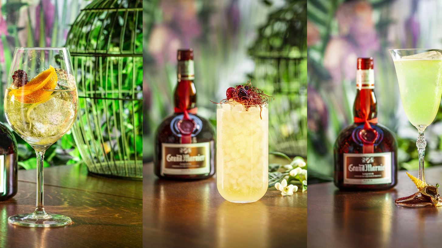 &#x39C;&#x3AF;&#x3B1; &#x3C5;&#x3C0;&#x3AD;&#x3C1;&#x3BF;&#x3C7;&#x3B7; orangerie &#x3B1;&#x3BD;&#x3B8;&#x3AF;&#x3B6;&#x3B5;&#x3B9; &#x3C3;&#x3C4;&#x3BF; &#x3BA;&#x3AD;&#x3BD;&#x3C4;&#x3C1;&#x3BF; &#x3C4;&#x3B7;&#x3C2; &#x391;&#x3B8;&#x3AE;&#x3BD;&#x3B1;&#x3C2;