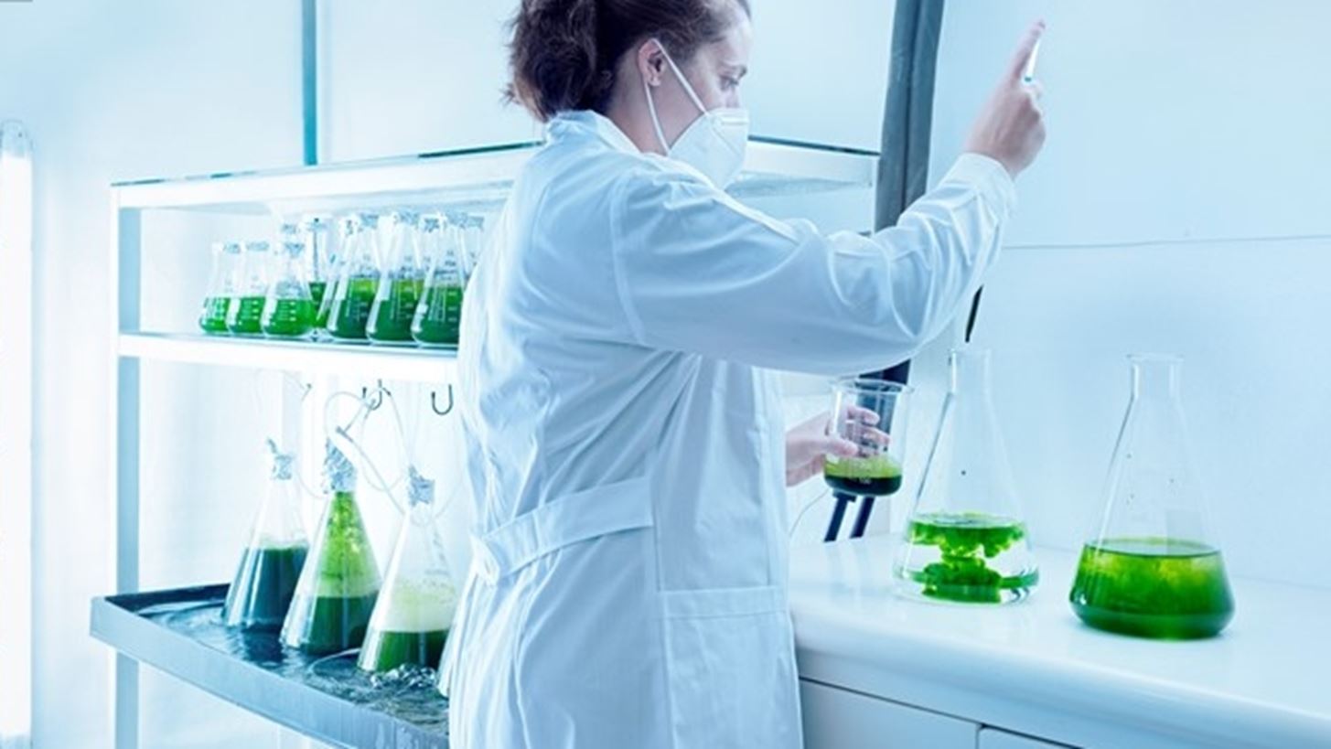 &#x39F;&#x3B9; &#x3B3;&#x3C5;&#x3BD;&#x3B1;&#x3AF;&#x3BA;&#x3B5;&#x3C2; &#x3B4;&#x3AF;&#x3BD;&#x3BF;&#x3C5;&#x3BD; &#x3C4;&#x3BF; &#x3B4;&#x3B9;&#x3BA;&#x3CC; &#x3C4;&#x3BF;&#x3C5;&#x3C2; &quot;&#x3C0;&#x3B1;&#x3C1;&#x3CE;&#x3BD;&quot; &#x3BA;&#x3B1;&#x3B9; &#x3C3;&#x3C4;&#x3B7;&#x3BD; &#x3B5;&#x3BB;&#x3BB;&#x3B7;&#x3BD;&#x3B9;&#x3BA;&#x3AE; &#x3B9;&#x3C7;&#x3B8;&#x3C5;&#x3BF;&#x3BA;&#x3B1;&#x3BB;&#x3BB;&#x3B9;&#x3AD;&#x3C1;&#x3B3;&#x3B5;&#x3B9;&#x3B1;