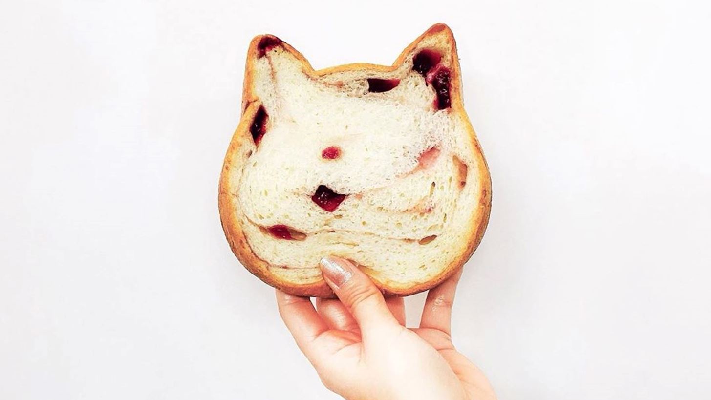 Cat bread: &#x3A4;&#x3BF; &#x3C8;&#x3C9;&#x3BC;&#x3AF; &#x3C0;&#x3BF;&#x3C5; &#x3AD;&#x3B3;&#x3B9;&#x3BD;&#x3B5; viral &#x3C3;&#x3C4;&#x3BF; Instagram