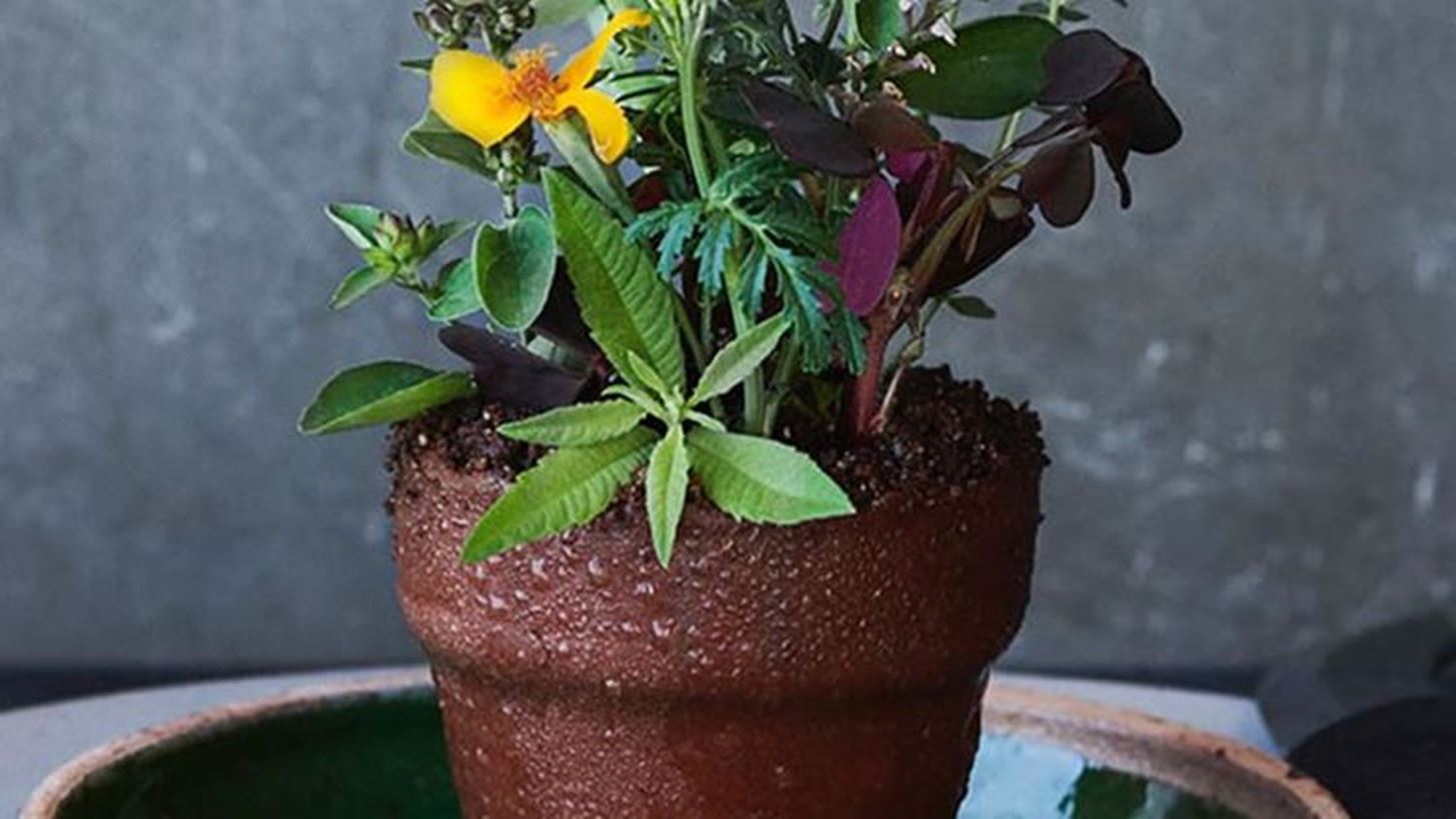 &#x3A4;&#x3BF; Noma &#x3B1;&#x3BD;&#x3BF;&#x3AF;&#x3B3;&#x3B5;&#x3B9; &#x3BA;&#x3B1;&#x3B9; &#x3C0;&#x3AC;&#x3BB;&#x3B9; &#x3BC;&#x3B5; &#x3C4;&#x3BF; &#x3B4;&#x3B9;&#x3AC;&#x3C3;&#x3B7;&#x3BC;&#x3BF; &#x3C0;&#x3B9;&#x3AC;&#x3C4;&#x3BF; &#x3B3;&#x3BB;&#x3AC;&#x3C3;&#x3C4;&#x3C1;&#x3B1; (&#x3C0;&#x3BF;&#x3C5; &#x3B5;&#x3AF;&#x3BD;&#x3B1;&#x3B9; &#x3C3;&#x3C4;&#x3B7;&#x3BD; &#x3C0;&#x3C1;&#x3B1;&#x3B3;&#x3BC;&#x3B1;&#x3C4;&#x3B9;&#x3BA;&#x3CC;&#x3C4;&#x3B7;&#x3C4;&#x3B1; &#x3B5;&#x3C0;&#x3B9;&#x3B4;&#x3CC;&#x3C1;&#x3C0;&#x3B9;&#x3BF;)