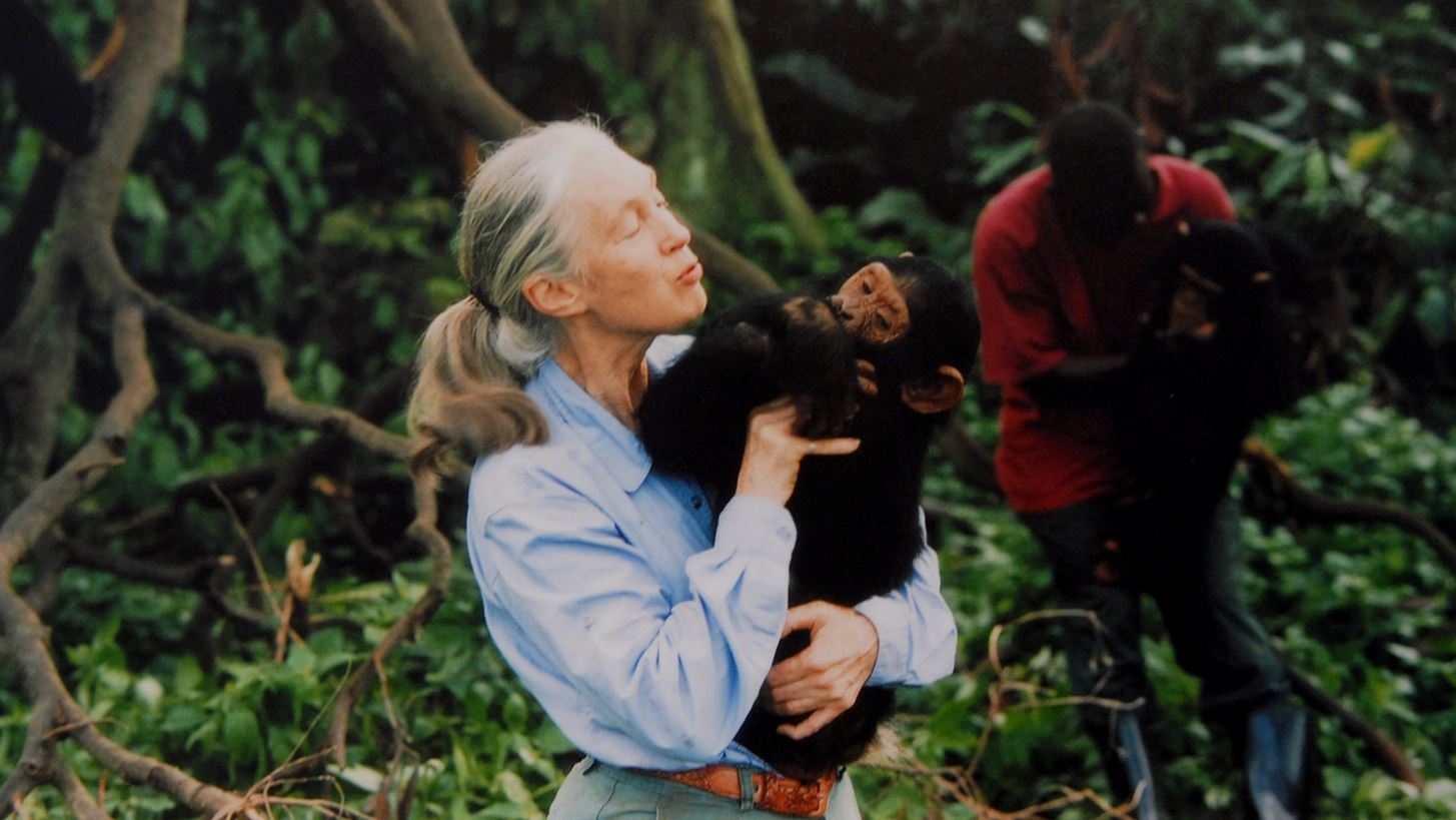 &#x397; Jane Goodall &#x3B8;&#x3B1; &#x3BC;&#x3B5;&#x3AF;&#x3BD;&#x3B5;&#x3B9; &#x3C3;&#x3C4;&#x3B7;&#x3BD; &#x3B9;&#x3C3;&#x3C4;&#x3BF;&#x3C1;&#x3AF;&#x3B1; &#x3C9;&#x3C2; &quot;&#x3B1;&#x3BB;&#x3B7;&#x3B8;&#x3B9;&#x3BD;&#x3AE; &#x3B7;&#x3C1;&#x3C9;&#x3AF;&#x3B4;&#x3B1; &#x3C4;&#x3BF;&#x3C5; &#x3C0;&#x3BB;&#x3B1;&#x3BD;&#x3AE;&#x3C4;&#x3B7;&quot;