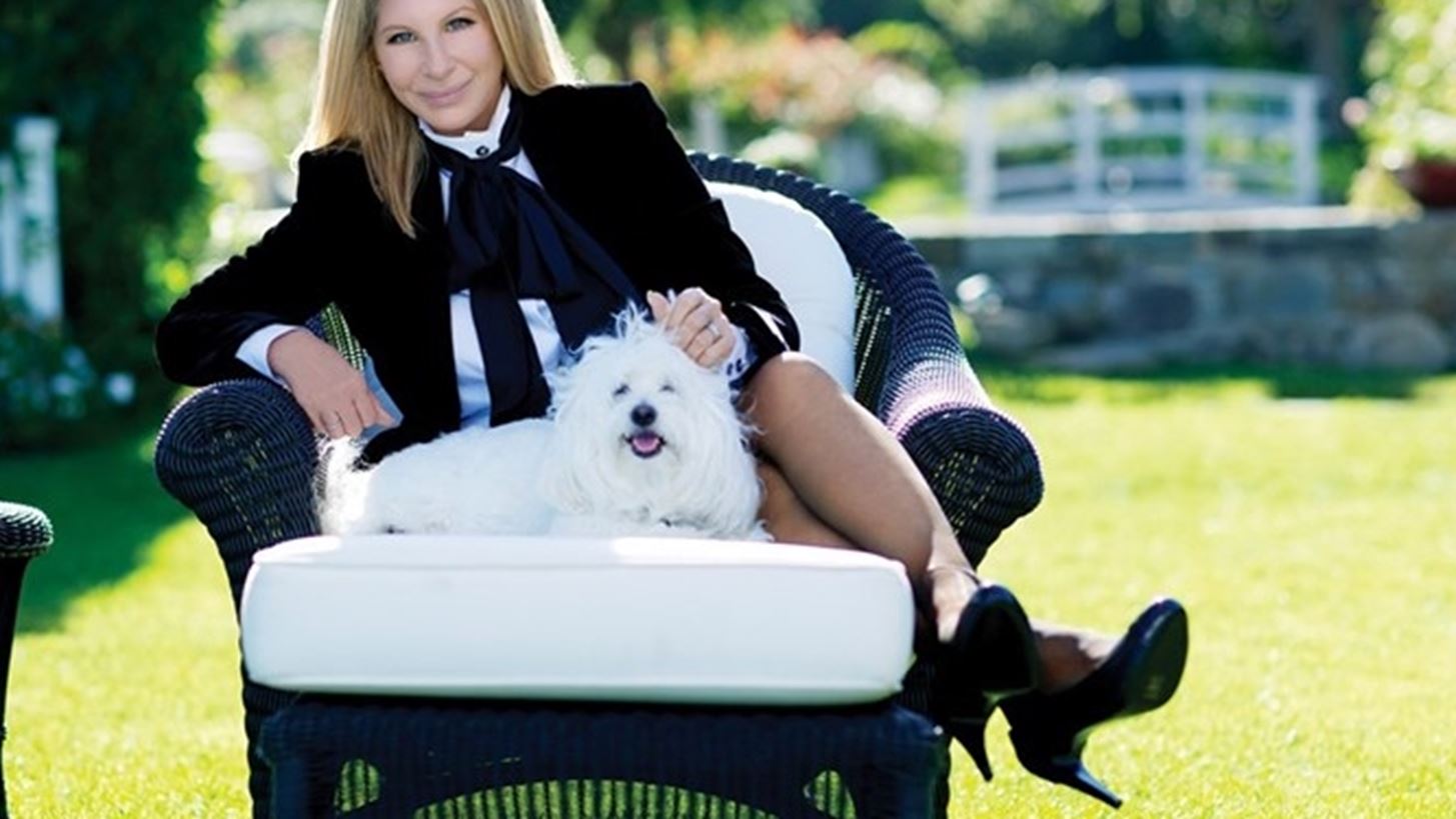 &quot;My Name Is Barbra&quot; | &#x388;&#x3C1;&#x3C7;&#x3B5;&#x3C4;&#x3B1;&#x3B9; &#x3B5;&#x3C0;&#x3B9;&#x3C4;&#x3AD;&#x3BB;&#x3BF;&#x3C5;&#x3C2; &#x3B7; &#x3B1;&#x3C5;&#x3C4;&#x3BF;&#x3B2;&#x3B9;&#x3BF;&#x3B3;&#x3C1;&#x3B1;&#x3C6;&#x3AF;&#x3B1; &#x3C4;&#x3B7;&#x3C2; Streisand!