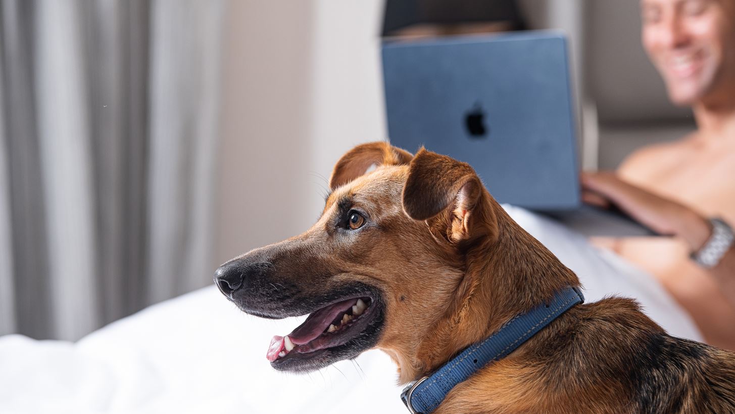 &#x3A6;&#x3B9;&#x3BB;&#x3BF;&#x3BE;&#x3B5;&#x3BD;&#x3AF;&#x3B1; &#x3BC;&#x3B5;... &#x3BF;&#x3C5;&#x3C1;&#x3AC;