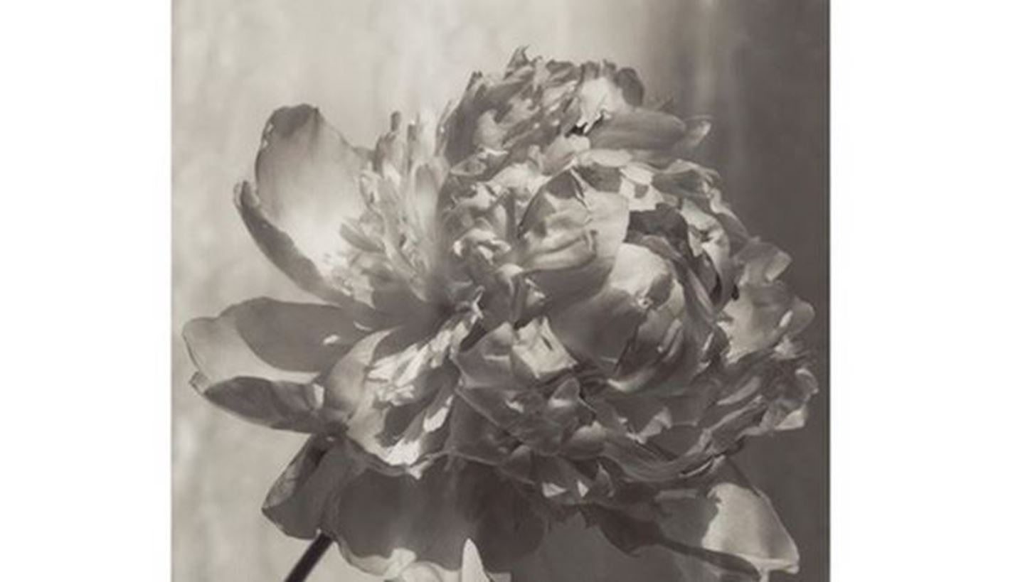 &#x394;&#x3B9;&#x3AC;&#x3C3;&#x3B7;&#x3BC;&#x3BF;&#x3B9; &#x3C6;&#x3C9;&#x3C4;&#x3BF;&#x3B3;&#x3C1;&#x3AC;&#x3C6;&#x3BF;&#x3B9; &#x3B5;&#x3BD;&#x3CE;&#x3BD;&#x3BF;&#x3BD;&#x3C4;&#x3B1;&#x3B9; &#x3B3;&#x3B9;&#x3B1; &#x3BA;&#x3B1;&#x3BB;&#x3CC; &#x3C3;&#x3BA;&#x3BF;&#x3C0;&#x3CC;