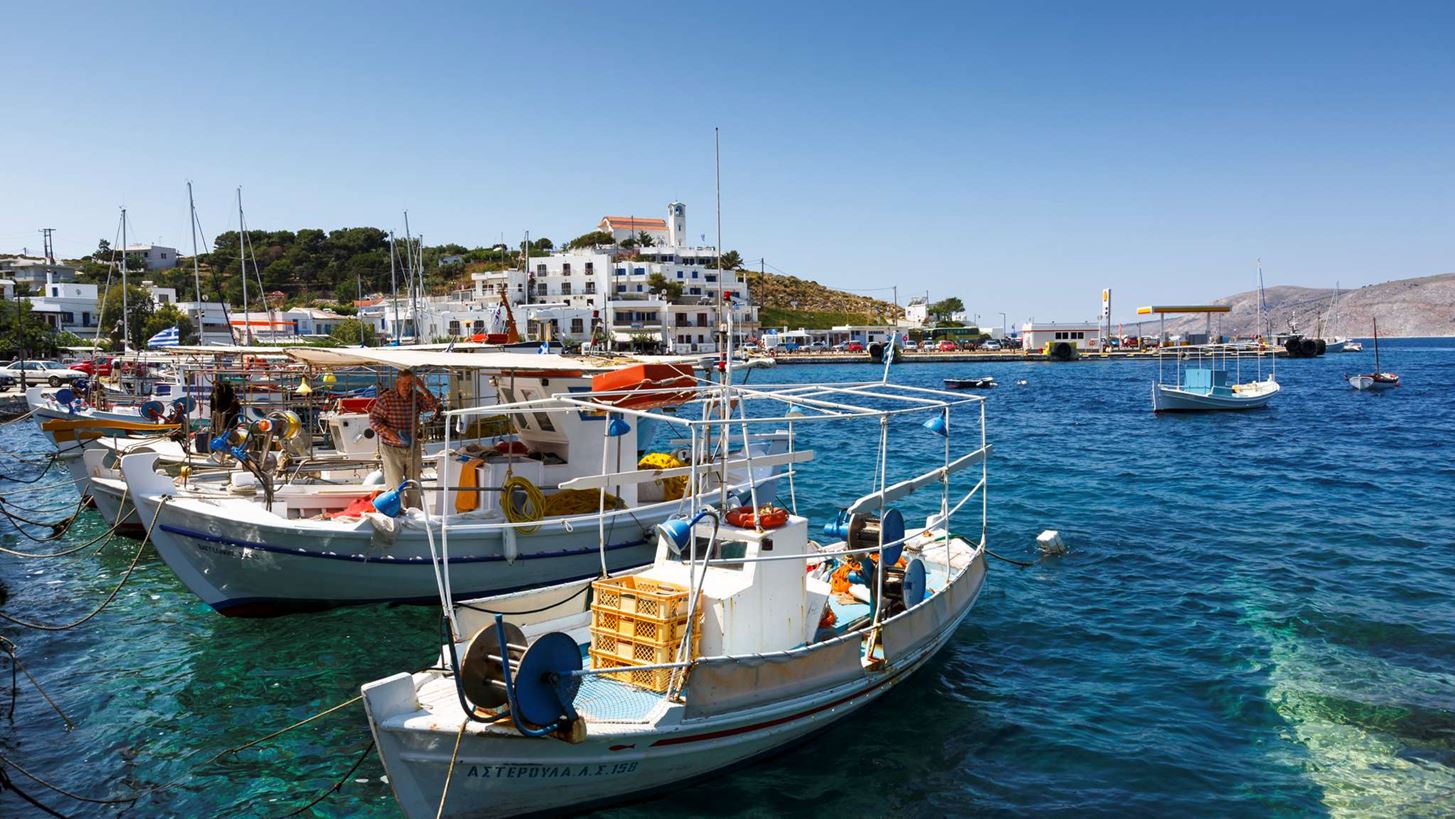 &#x3A3;&#x3BA;&#x3CD;&#x3C1;&#x3BF;&#x3C2;, &#x3B7; &#x3B3;&#x3BF;&#x3B7;&#x3C4;&#x3B5;&#x3C5;&#x3C4;&#x3B9;&#x3BA;&#x3AE;