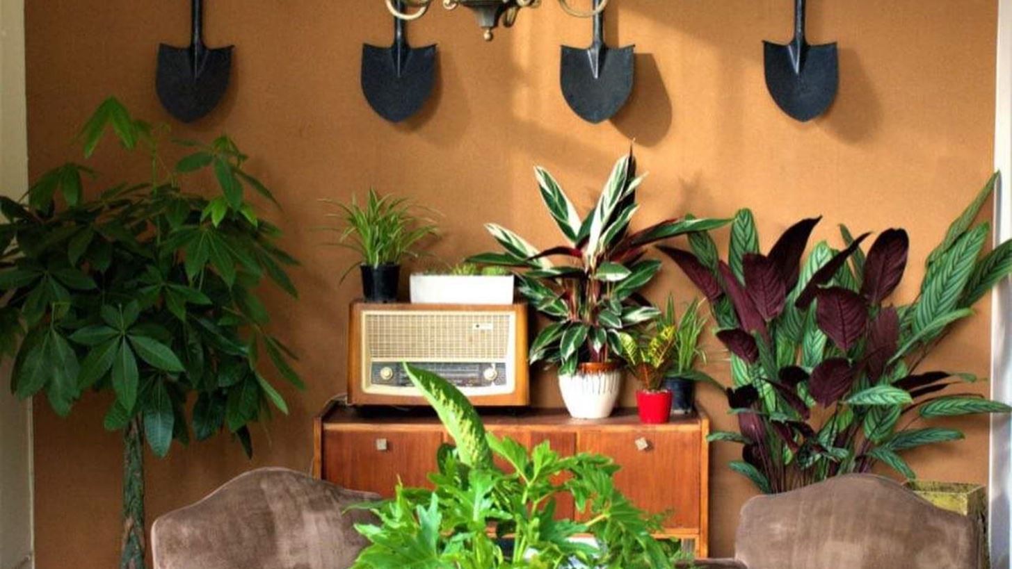 &#x395;&#x3C0;&#x3B9;&#x3C7;&#x3B5;&#x3AF;&#x3C1;&#x3B7;&#x3C3;&#x3B7; &#x3C6;&#x3C5;&#x3C4;&#x3AC; | Tips &#x3BA;&#x3B1;&#x3B9; &#x3C3;&#x3C5;&#x3BC;&#x3B2;&#x3BF;&#x3C5;&#x3BB;&#x3AD;&#x3C2; &#x3B3;&#x3B9;&#x3B1; &#x3B1;&#x3C1;&#x3C7;&#x3AC;&#x3C1;&#x3B9;&#x3BF;&#x3C5;&#x3C2; &#x3BA;&#x3B1;&#x3B9; &#x3BC;&#x3C5;&#x3B7;&#x3BC;&#x3AD;&#x3BD;&#x3BF;&#x3C5;&#x3C2; &#x3BA;&#x3B7;&#x3C0;&#x3BF;&#x3C5;&#x3C1;&#x3BF;&#x3CD;&#x3C2;