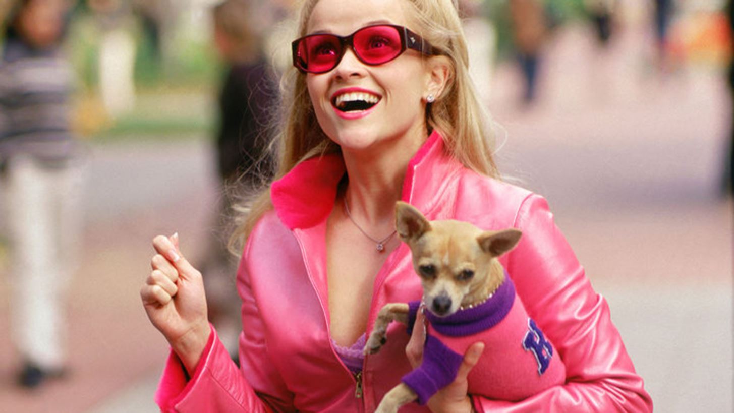 To Legally Blonde &#x3B5;&#x3C0;&#x3B9;&#x3C3;&#x3C4;&#x3C1;&#x3AD;&#x3C6;&#x3B5;&#x3B9;!