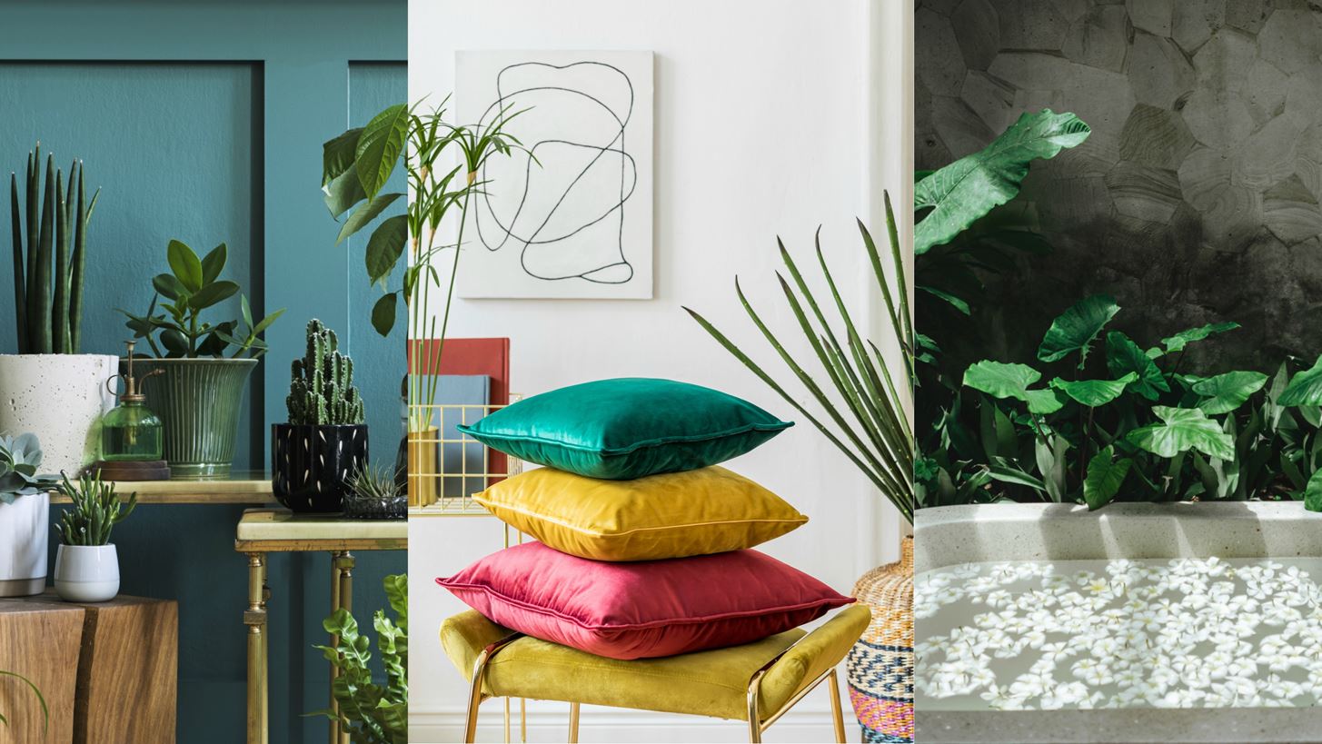 Tropical vibes: &#x395;&#x3BE;&#x3C9;&#x3C4;&#x3B9;&#x3BA;&#x3AC; &#x3BC;&#x3BF;&#x3C4;&#x3AF;&#x3B2;&#x3B1; &#x3BA;&#x3B1;&#x3B9; &#x3C7;&#x3C1;&#x3CE;&#x3BC;&#x3B1;&#x3C4;&#x3B1; &#x3BC;&#x3B5;&#x3C4;&#x3B1;&#x3BC;&#x3BF;&#x3C1;&#x3C6;&#x3CE;&#x3BD;&#x3BF;&#x3C5;&#x3BD; &#x3C4;&#x3BF; &#x3C3;&#x3C0;&#x3AF;&#x3C4;&#x3B9; &#x3C3;&#x3BF;&#x3C5; &#x3C3;&#x3B5; &#x3C4;&#x3C1;&#x3BF;&#x3C0;&#x3B9;&#x3BA;&#x3CC; &#x3BD;&#x3B7;&#x3C3;&#x3AF;