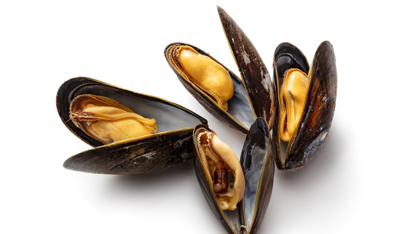 5 &#x3B1;&#x3C0;&#x3C1;&#x3BF;&#x3C3;&#x3B4;&#x3CC;&#x3BA;&#x3B7;&#x3C4;&#x3B1; &#x3C6;&#x3B1;&#x3B3;&#x3B7;&#x3C4;&#x3AC; &#x3C0;&#x3BF;&#x3C5; &#x3C8;&#x3AE;&#x3BD;&#x3BF;&#x3BD;&#x3C4;&#x3B1;&#x3B9; &#x3C3;&#x3C4;&#x3B1; &#x3BA;&#x3AC;&#x3C1;&#x3B2;&#x3BF;&#x3C5;&#x3BD;&#x3B1;