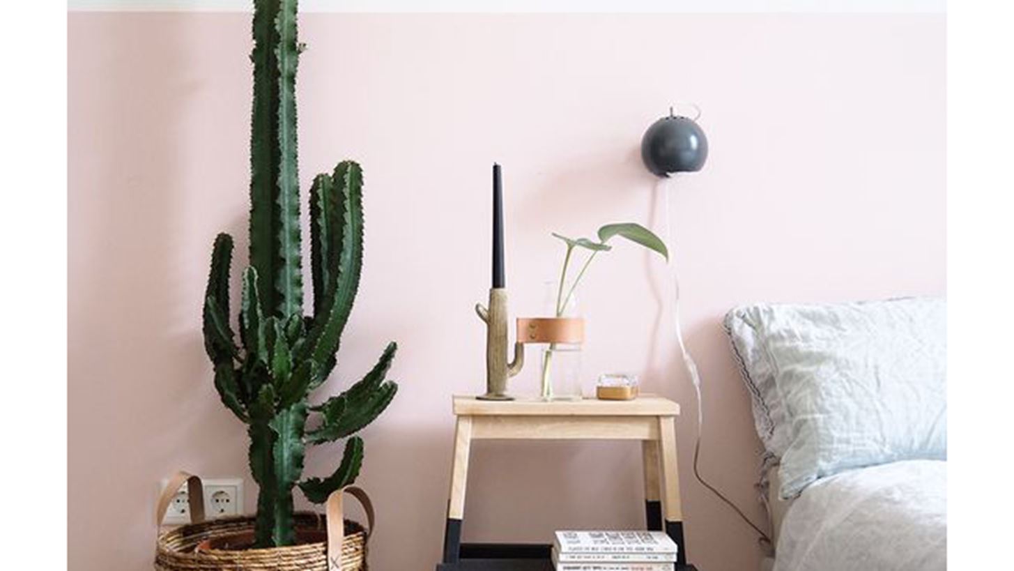 &#x3A0;&#x3CE;&#x3C2; &#x3BD;&#x3B1; &#x3B4;&#x3B9;&#x3B1;&#x3BA;&#x3BF;&#x3C3;&#x3BC;&#x3AE;&#x3C3;&#x3B5;&#x3B9;&#x3C2; &#x3C4;&#x3BF;&#x3BD; &#x3C4;&#x3BF;&#x3AF;&#x3C7;&#x3BF; &#x3C0;&#x3AF;&#x3C3;&#x3C9; &#x3B1;&#x3C0;&#x3CC; &#x3C4;&#x3BF; &#x3BA;&#x3C1;&#x3B5;&#x3B2;&#x3AC;&#x3C4;&#x3B9;