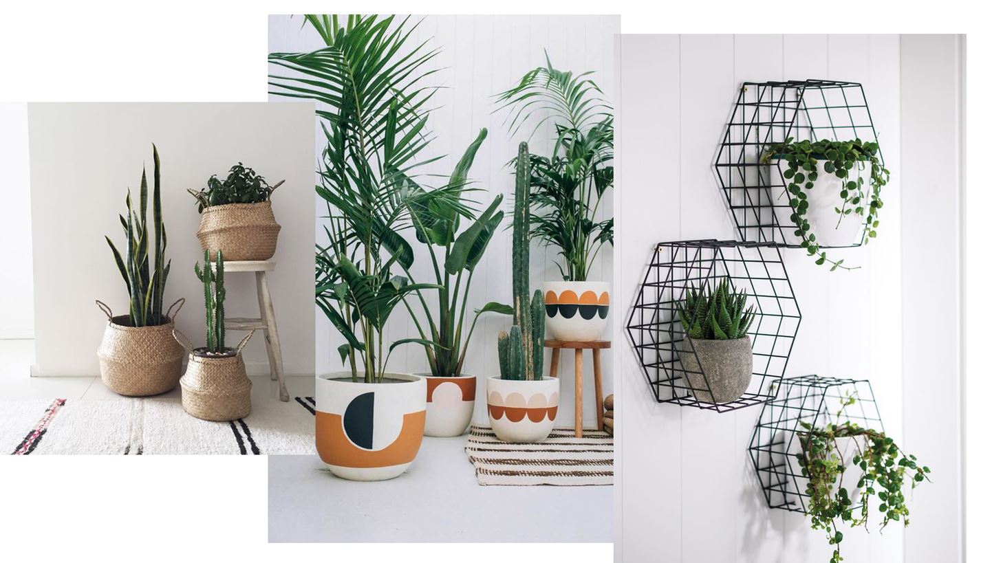 &#x391;&#x3BD;&#x3BF;&#x3B9;&#x3BE;&#x3B9;&#x3AC;&#x3C4;&#x3B9;&#x3BA;&#x3BF; deco: 10 &#x3B9;&#x3B4;&#x3AD;&#x3B5;&#x3C2; &#x3B3;&#x3B9;&#x3B1; &#x3BD;&#x3B1; &quot;&#x3B1;&#x3BD;&#x3B1;&#x3B2;&#x3B1;&#x3B8;&#x3BC;&#x3AF;&#x3C3;&#x3B5;&#x3B9;&#x3C2;&quot; &#x3C4;&#x3B9;&#x3C2; &#x3B3;&#x3BB;&#x3AC;&#x3C3;&#x3C4;&#x3C1;&#x3B5;&#x3C2; &#x3C3;&#x3BF;&#x3C5;