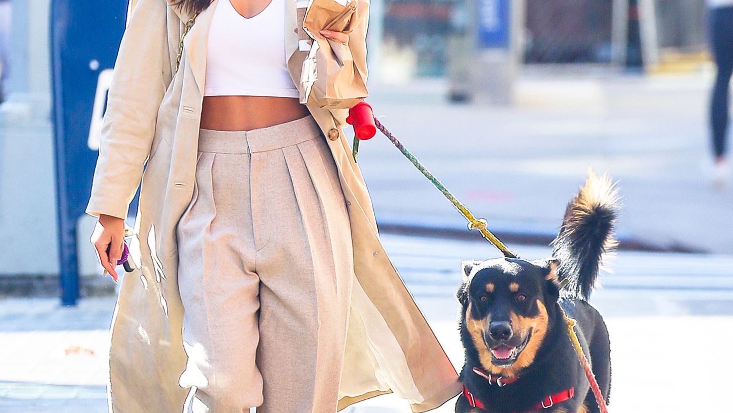 10 &#x3BA;&#x3B1;&#x3C4;&#x3BF;&#x3B9;&#x3BA;&#x3AF;&#x3B4;&#x3B9;&#x3B1; &#x3BC;&#x3B5; &#x3B4;&#x3B9;&#x3AC;&#x3C3;&#x3B7;&#x3BC;&#x3BF;&#x3C5;&#x3C2; &#x3B3;&#x3BF;&#x3BD;&#x3B5;&#x3AF;&#x3C2;