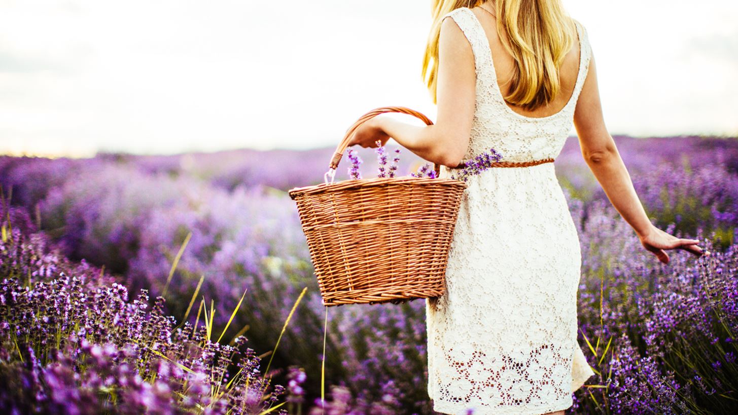 Έλαιο λεβάντας | 8 ευεργετικές ιδιότητες που έχει στον οργανισμό σου