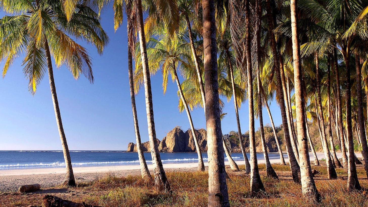 &#x391;&#x3BD;&#x3B1;&#x3BA;&#x3B1;&#x3BB;&#x3CD;&#x3C8;&#x3B1;&#x3BC;&#x3B5; &#x3C4;&#x3B9;&#x3C2; &#x3C0;&#x3B9;&#x3BF; &#x3CC;&#x3BC;&#x3BF;&#x3C1;&#x3C6;&#x3B5;&#x3C2; &#x3BC;&#x3C5;&#x3C3;&#x3C4;&#x3B9;&#x3BA;&#x3AD;&#x3C2; &#x3C0;&#x3B1;&#x3C1;&#x3B1;&#x3BB;&#x3AF;&#x3B5;&#x3C2; &#x3C4;&#x3BF;&#x3C5; &#x3C0;&#x3BB;&#x3B1;&#x3BD;&#x3AE;&#x3C4;&#x3B7;