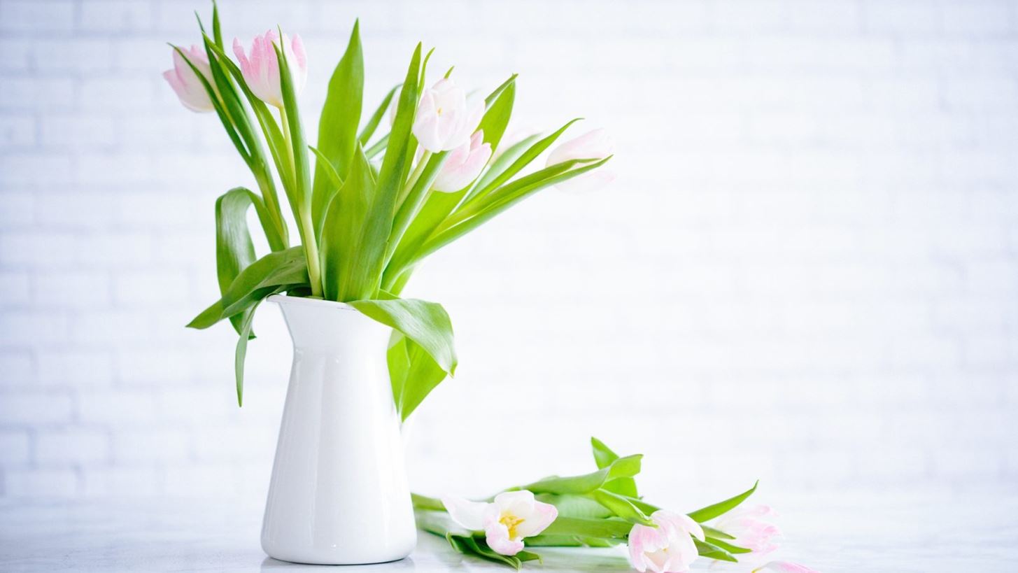 &#x39F;&#x3B9; &#x3BA;&#x3B1;&#x3BD;&#x3CC;&#x3BD;&#x3B5;&#x3C2; &#x3C4;&#x3BF;&#x3C5; &#x3B1;&#x3BD;&#x3BF;&#x3B9;&#x3BE;&#x3B9;&#x3AC;&#x3C4;&#x3B9;&#x3BA;&#x3BF;&#x3C5; decluttering &#x3C3;&#x3C4;&#x3BF; &#x3C3;&#x3C0;&#x3AF;&#x3C4;&#x3B9;