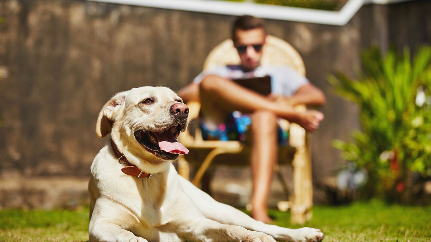 &#x3A4;&#x3B1; &#x3C3;&#x3BA;&#x3C5;&#x3BB;&#x3B9;&#x3AC; &#x3BC;&#x3B1;&#x3C2; &#x3BA;&#x3AC;&#x3BD;&#x3BF;&#x3C5;&#x3BD; &#x3C0;&#x3B9;&#x3BF; &#x3B5;&#x3C5;&#x3C4;&#x3C5;&#x3C7;&#x3B9;&#x3C3;&#x3BC;&#x3AD;&#x3BD;&#x3BF;&#x3C5;&#x3C2;, &#x3C0;&#x3B9;&#x3BF; &#x3C5;&#x3B3;&#x3B9;&#x3B5;&#x3AF;&#x3C2; &#x3BA;&#x3B1;&#x3B9; &#x3C0;&#x3B5;&#x3C1;&#x3B9;&#x3C3;&#x3C3;&#x3CC;&#x3C4;&#x3B5;&#x3C1;&#x3BF; fit