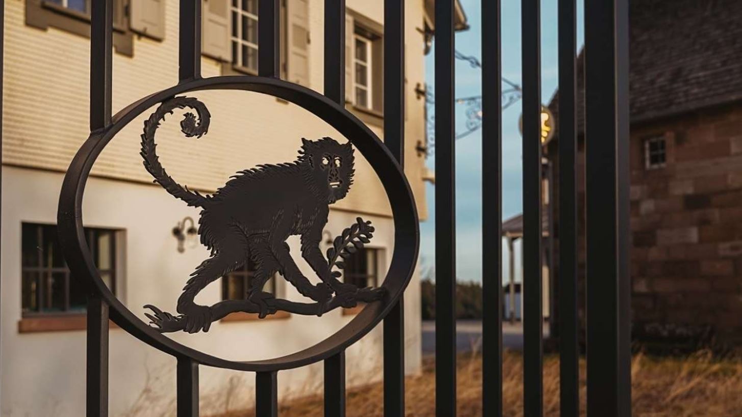 Monkey 47 | &#x3A4;&#x3BF; &#x3BC;&#x3C5;&#x3C3;&#x3C4;&#x3B9;&#x3BA;&#x3CC; &#x3C4;&#x3BF;&#x3C5; &#x39C;&#x3AD;&#x3BB;&#x3B1;&#x3BD;&#x3B1; &#x394;&#x3C1;&#x3C5;&#x3BC;&#x3BF;&#x3CD;