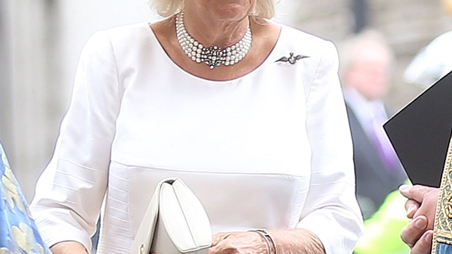 &#x393;&#x3B9;&#x3B1;&#x3C4;&#x3AF; &#x3B7; Camilla &#x3B4;&#x3B5;&#x3BD; &#x3B1;&#x3BD;&#x3B1;&#x3C6;&#x3AD;&#x3C1;&#x3B5;&#x3C4;&#x3B1;&#x3B9; &#x3C0;&#x3BF;&#x3C4;&#x3AD; &#x3C9;&#x3C2; &#x3C0;&#x3C1;&#x3B9;&#x3B3;&#x3BA;&#x3AF;&#x3C0;&#x3B9;&#x3C3;&#x3C3;&#x3B1; &#x3C4;&#x3B7;&#x3C2; &#x39F;&#x3C5;&#x3B1;&#x3BB;&#x3AF;&#x3B1;&#x3C2;;