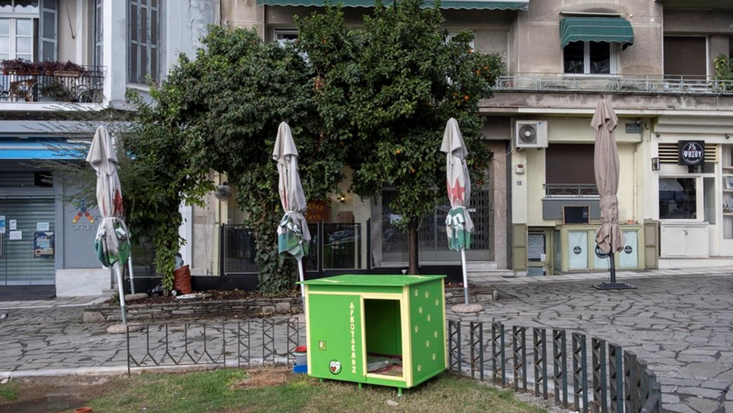 &#x3A3;&#x3C0;&#x3AF;&#x3C4;&#x3B9; &#x3C6;&#x3C4;&#x3B9;&#x3B1;&#x3B3;&#x3BC;&#x3AD;&#x3BD;&#x3BF; &#x3C3;&#x3C4;&#x3B1; &#x3BC;&#x3AD;&#x3C4;&#x3C1;&#x3B1; &#x3C4;&#x3BF;&#x3C5; &#x3B1;&#x3C0;&#x3AD;&#x3BA;&#x3C4;&#x3B7;&#x3C3;&#x3B5; &#x3AD;&#x3BD;&#x3B1;&#x3C2; &#x3B1;&#x3B4;&#x3AD;&#x3C3;&#x3C0;&#x3BF;&#x3C4;&#x3BF;&#x3C2; &#x3C3;&#x3BA;&#x3CD;&#x3BB;&#x3BF;&#x3C2; &#x3C3;&#x3C4;&#x3B7; &#x398;&#x3B5;&#x3C3;&#x3C3;&#x3B1;&#x3BB;&#x3BF;&#x3BD;&#x3AF;&#x3BA;&#x3B7;