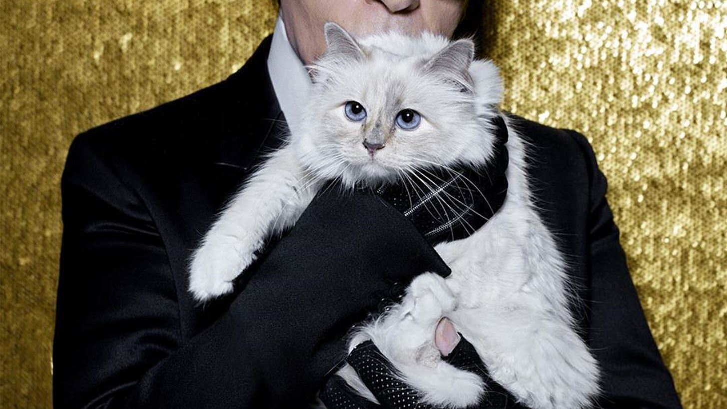 Choupette | &#x397; &#x3B3;&#x3AC;&#x3C4;&#x3B1; &#x3BA;&#x3BB;&#x3B7;&#x3C1;&#x3BF;&#x3BD;&#x3CC;&#x3BC;&#x3BF;&#x3C2; &#x3B5;&#x3C4;&#x3BF;&#x3B9;&#x3BC;&#x3AC;&#x3B6;&#x3B5;&#x3B9; &#x3BC;&#x3AF;&#x3B1; &#x3BD;&#x3AD;&#x3B1; &#x3C3;&#x3C5;&#x3BB;&#x3BB;&#x3BF;&#x3B3;&#x3AE; &#x3C3;&#x3C4;&#x3B7; &#x3BC;&#x3BD;&#x3AE;&#x3BC;&#x3B7; &#x3C4;&#x3BF;&#x3C5; Karl Lagerfeld