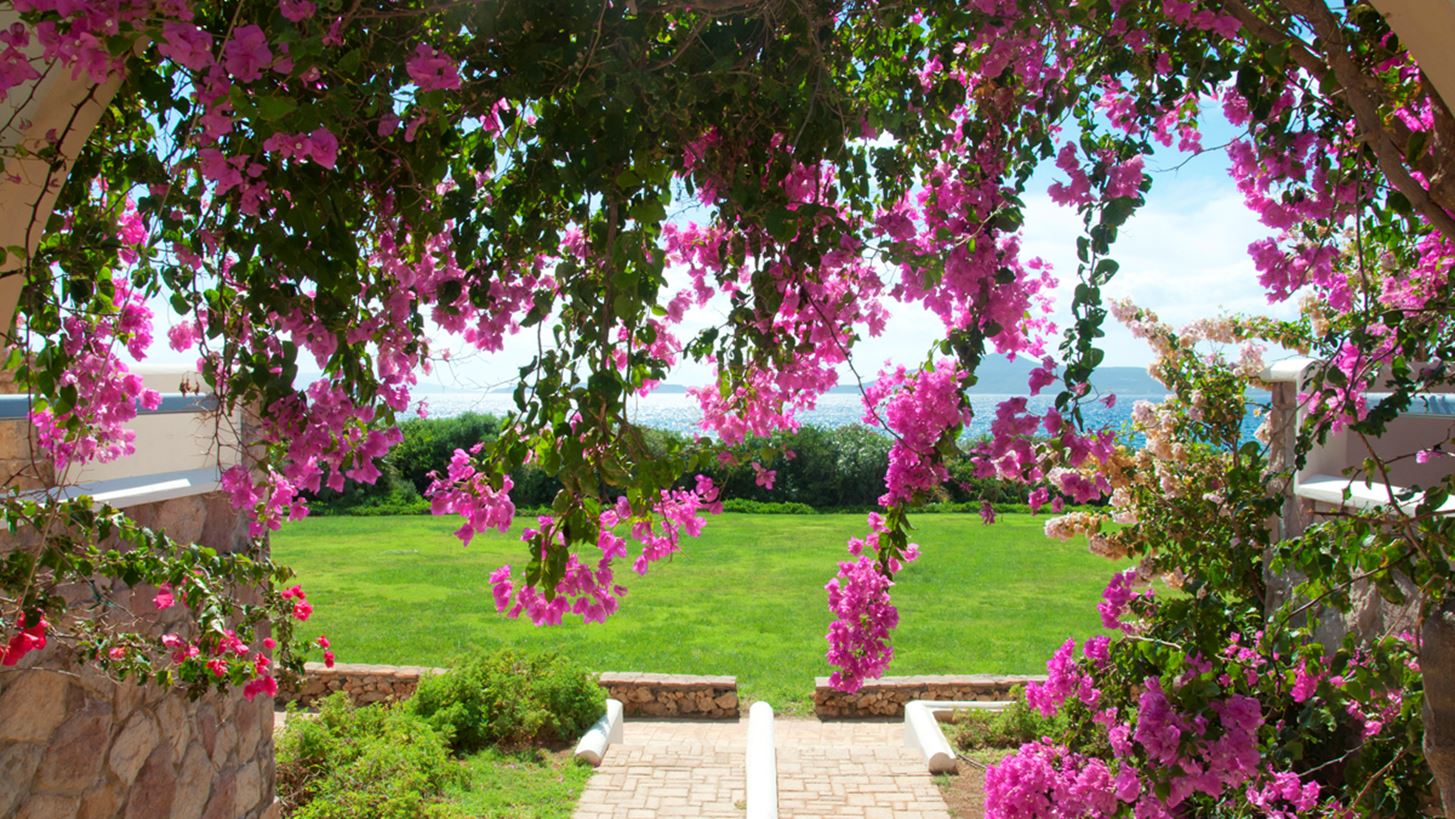 &#x391;&#x3C5;&#x3C4;&#x3AD;&#x3C2; &#x3BF;&#x3B9; &#x3BA;&#x3B1;&#x3BB;&#x3BF;&#x3BA;&#x3B1;&#x3B9;&#x3C1;&#x3B9;&#x3BD;&#x3AD;&#x3C2; &#x3BA;&#x3B1;&#x3C4;&#x3BF;&#x3B9;&#x3BA;&#x3AF;&#x3B5;&#x3C2; &#x3C0;&#x3C1;&#x3BF;&#x3C3;&#x3C6;&#x3AD;&#x3C1;&#x3BF;&#x3C5;&#x3BD; &#x3C4;&#x3B7;&#x3BD; &#x3B1;&#x3C0;&#x3CC;&#x3BB;&#x3C5;&#x3C4;&#x3B7; &#x3C6;&#x3B9;&#x3BB;&#x3BF;&#x3BE;&#x3B5;&#x3BD;&#x3AF;&#x3B1; &#x3C3;&#x3C4;&#x3B7;&#x3BD; &#x39D;&#x3B5;&#x3AC;&#x3C0;&#x3BF;&#x3BB;&#x3B7; &#x39B;&#x3B1;&#x3BA;&#x3C9;&#x3BD;&#x3AF;&#x3B1;&#x3C2;