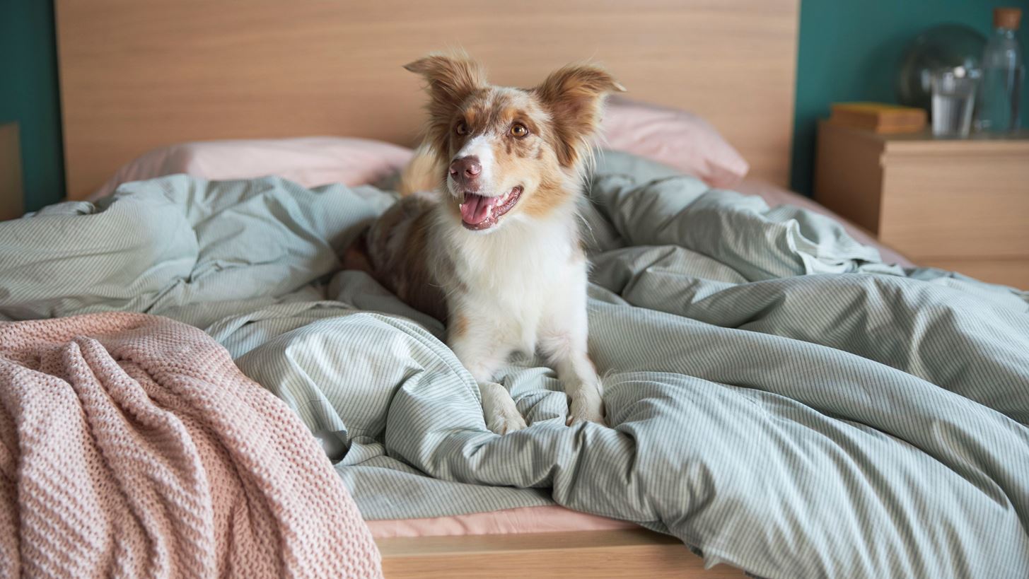 &#x3A3;&#x2019; &#x3AD;&#x3BD;&#x3B1; &#x3C3;&#x3C0;&#x3AF;&#x3C4;&#x3B9; &#x399;&#x39A;&#x395;&#x391; &#x3B6;&#x3B5;&#x3B9;&#x3C2; &#x3C0;&#x3B9;&#x3BF; &#x3C0;&#x3BF;&#x3BB;&#x3BB;&#x3AC; &#x3B1;&#x3C0;&#x2019; &#x3CC;&#x3C3;&#x3B1; &#x3C6;&#x3B1;&#x3BD;&#x3C4;&#x3AC;&#x3B6;&#x3B5;&#x3C3;&#x3B1;&#x3B9;