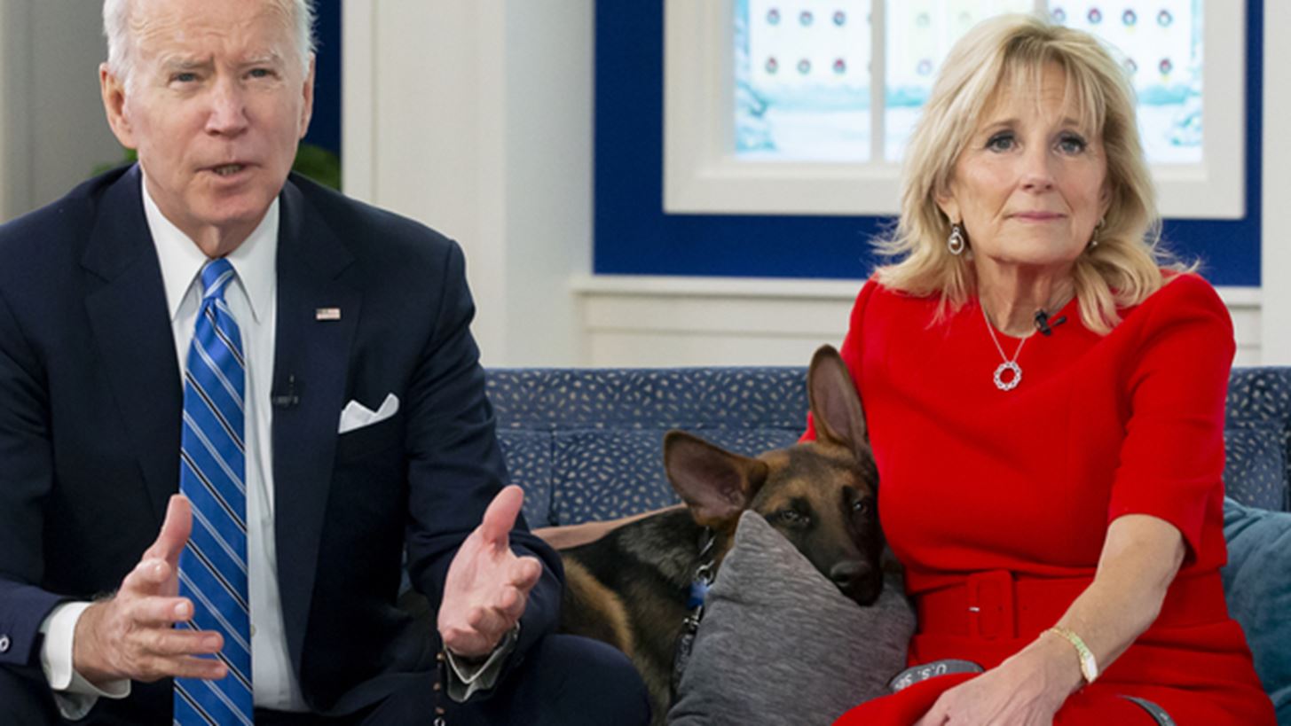 Pet Love | &#x3A4;&#x3B1; &#x3B1;&#x3BE;&#x3B9;&#x3BF;&#x3BB;&#x3AC;&#x3C4;&#x3C1;&#x3B5;&#x3C5;&#x3C4;&#x3B1; &#x3BA;&#x3B1;&#x3C4;&#x3BF;&#x3B9;&#x3BA;&#x3AF;&#x3B4;&#x3B9;&#x3B1; &#x3C4;&#x3C9;&#x3BD; &#x3A0;&#x3C1;&#x3BF;&#x3AD;&#x3B4;&#x3C1;&#x3C9;&#x3BD; &#x3BA;&#x3B1;&#x3B9; &#x3C4;&#x3C9;&#x3BD; &#x3A0;&#x3C1;&#x3C9;&#x3B8;&#x3C5;&#x3C0;&#x3BF;&#x3C5;&#x3C1;&#x3B3;&#x3CE;&#x3BD;