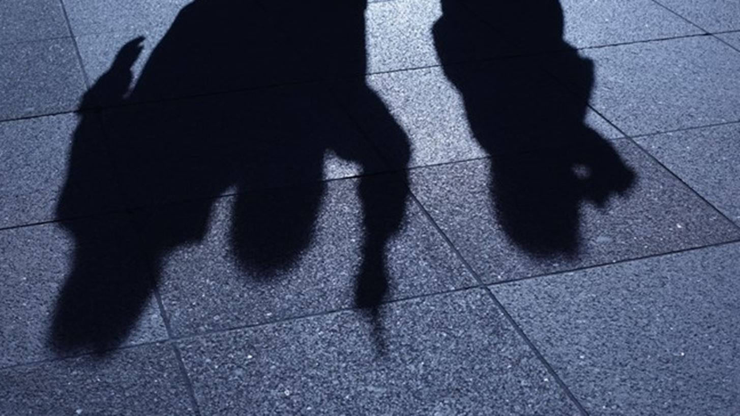 25 &#x39D;&#x3BF;&#x3B5;&#x3BC;&#x3B2;&#x3C1;&#x3AF;&#x3BF;&#x3C5;: &#x397;&#x3BC;&#x3AD;&#x3C1;&#x3B1; &#x3B3;&#x3B9;&#x3B1; &#x3C4;&#x3B7;&#x3BD; &#x3B5;&#x3BE;&#x3AC;&#x3BB;&#x3B5;&#x3B9;&#x3C8;&#x3B7; &#x3C4;&#x3B7;&#x3C2; &#x3B2;&#x3AF;&#x3B1;&#x3C2; &#x3BA;&#x3B1;&#x3C4;&#x3AC; &#x3C4;&#x3C9;&#x3BD; &#x393;&#x3C5;&#x3BD;&#x3B1;&#x3B9;&#x3BA;&#x3CE;&#x3BD;