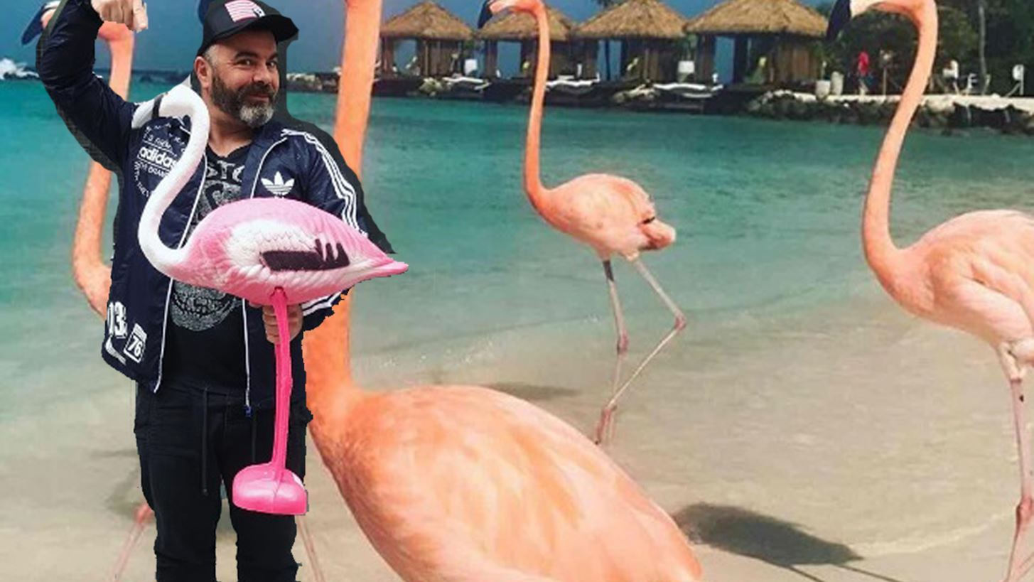 Pink Flamingo: &#x39F; &#x392;&#x3B1;&#x3C3;&#x3AF;&#x3BB;&#x3B7;&#x3C2; &#x39A;&#x3B1;&#x3BB;&#x3BB;&#x3AF;&#x3B4;&#x3B7;&#x3C2; &#x3C6;&#x3AD;&#x3C1;&#x3BD;&#x3B5;&#x3B9; &#x3C4;&#x3BF; street food &#x3C4;&#x3BF;&#x3C5; Hong Kong &#x3C3;&#x3C4;&#x3BF; &#x3BA;&#x3AD;&#x3BD;&#x3C4;&#x3C1;&#x3BF; &#x3C4;&#x3B7;&#x3C2; &#x391;&#x3B8;&#x3AE;&#x3BD;&#x3B1;&#x3C2;