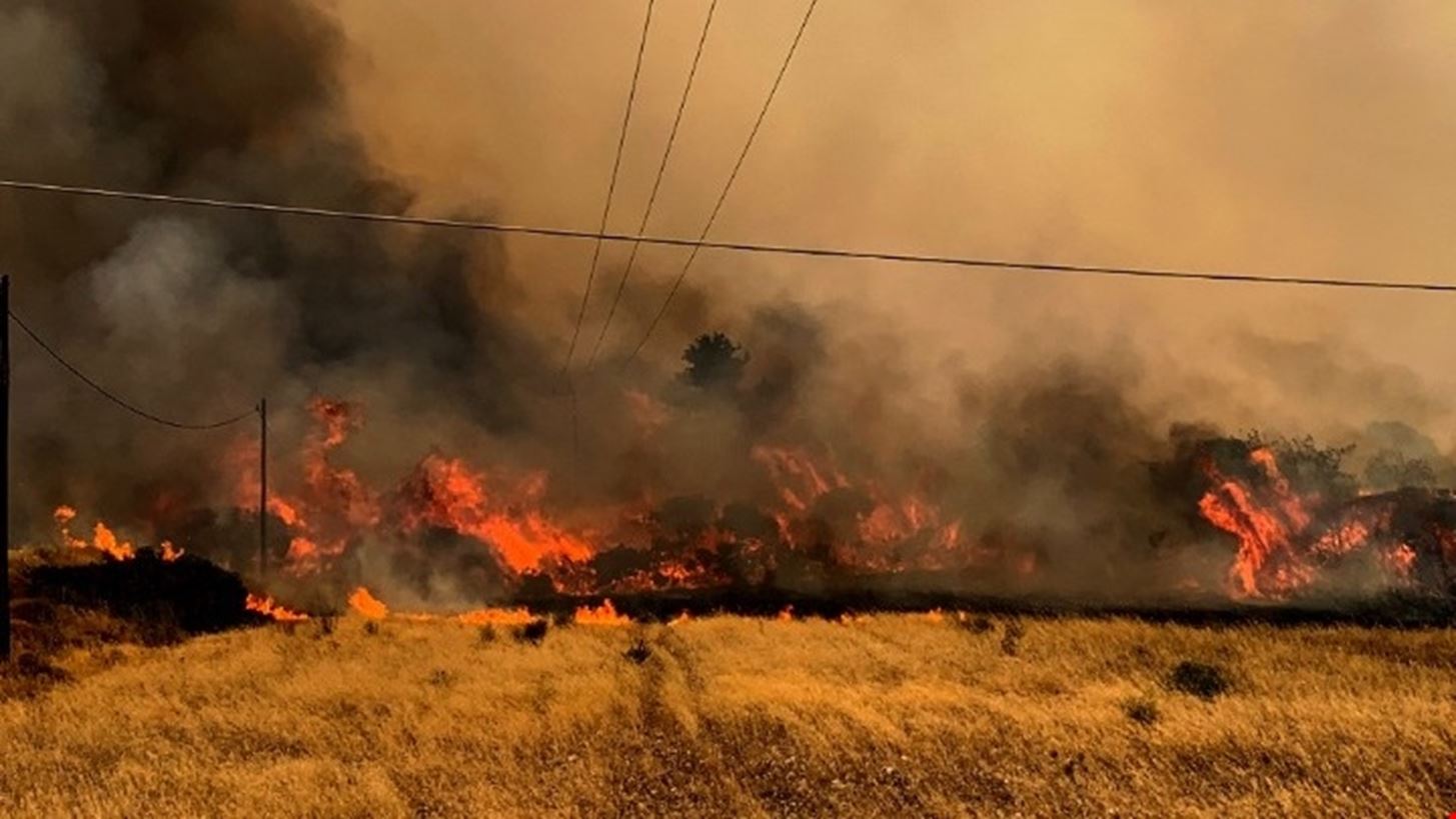 &#x3A6;&#x3C9;&#x3C4;&#x3B9;&#x3AD;&#x3C2; &#x3C3;&#x3C4;&#x3B7; &#x3A1;&#x3CC;&#x3B4;&#x3BF; | &#x388;&#x3BD;&#x3B1; &#x3B6;&#x3B5;&#x3C5;&#x3B3;&#x3AC;&#x3C1;&#x3B9; &#x3C4;&#x3BF;&#x3C5;&#x3C1;&#x3B9;&#x3C3;&#x3C4;&#x3CE;&#x3BD; &#x3B1;&#x3C0;&#x3CC; &#x3C4;&#x3B7; &#x3A3;&#x3BF;&#x3C5;&#x3B7;&#x3B4;&#x3AF;&#x3B1; &#x3C0;&#x3B5;&#x3C1;&#x3B9;&#x3B3;&#x3C1;&#x3AC;&#x3C6;&#x3B5;&#x3B9; &#x3C4;&#x3B7;&#x3BD; &#x3B5;&#x3BC;&#x3C0;&#x3B5;&#x3B9;&#x3C1;&#x3AF;&#x3B1; &#x3C4;&#x3BF;&#x3C5;