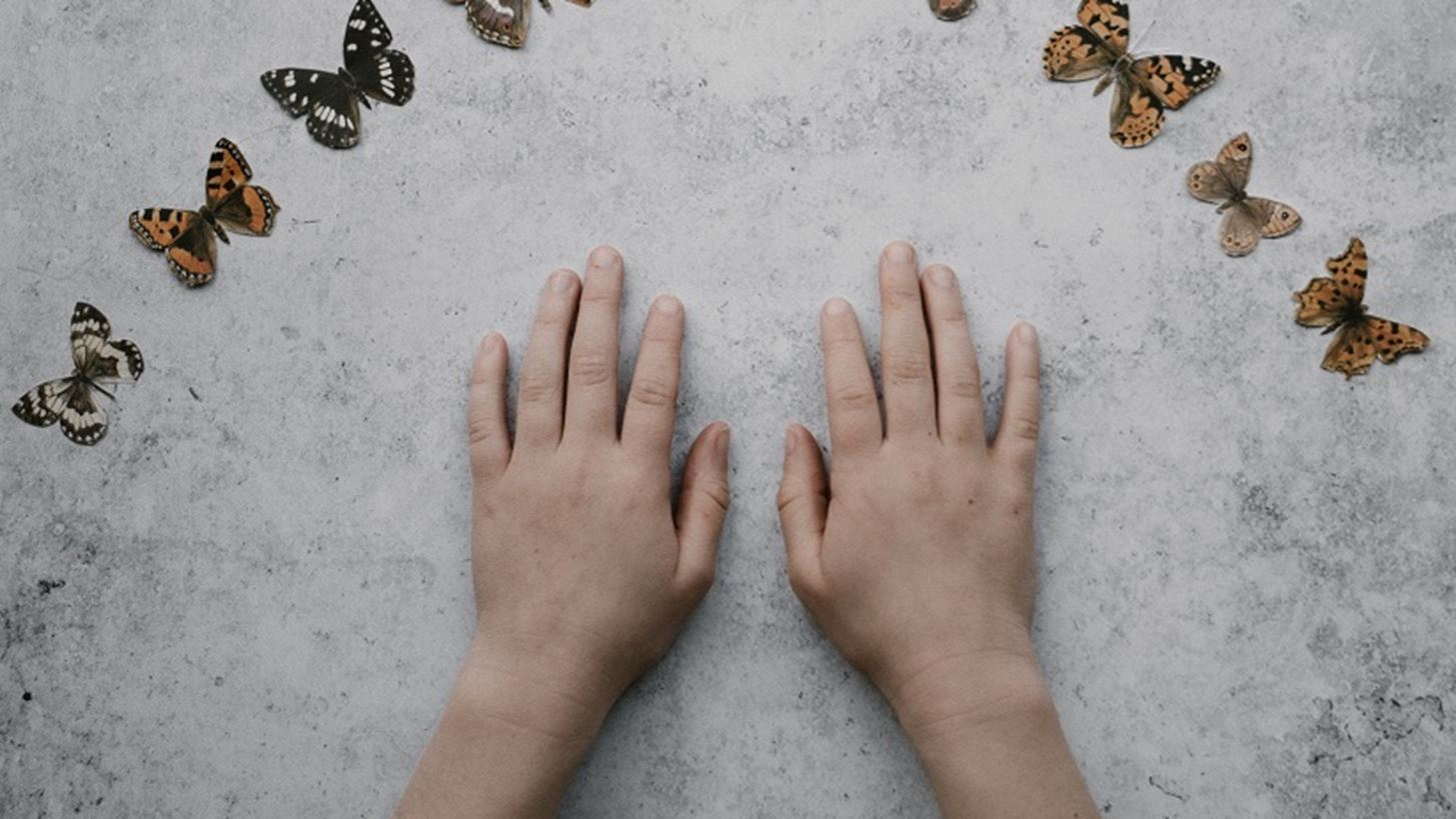 Haim Ginott: &#x3A4;&#x3B1; &#x3C0;&#x3B1;&#x3B9;&#x3B4;&#x3B9;&#x3AC; &#x3B5;&#x3AF;&#x3BD;&#x3B1;&#x3B9; &#x3C3;&#x3B1;&#x3BD; &#x3C4;&#x3BF; &#x3C5;&#x3B3;&#x3C1;&#x3CC; &#x3C4;&#x3C3;&#x3B9;&#x3BC;&#x3AD;&#x3BD;&#x3C4;&#x3BF;. &#x39F;&#x3C4;&#x3B9;&#x3B4;&#x3AE;&#x3C0;&#x3BF;&#x3C4;&#x3B5; &#x3C0;&#x3AD;&#x3C6;&#x3C4;&#x3B5;&#x3B9; &#x3C0;&#x3AC;&#x3BD;&#x3C9; &#x3C4;&#x3BF;&#x3C5;&#x3C2;, &#x3B1;&#x3C6;&#x3AE;&#x3BD;&#x3B5;&#x3B9; &#x3B1;&#x3C0;&#x3BF;&#x3C4;&#x3CD;&#x3C0;&#x3C9;&#x3BC;&#x3B1;