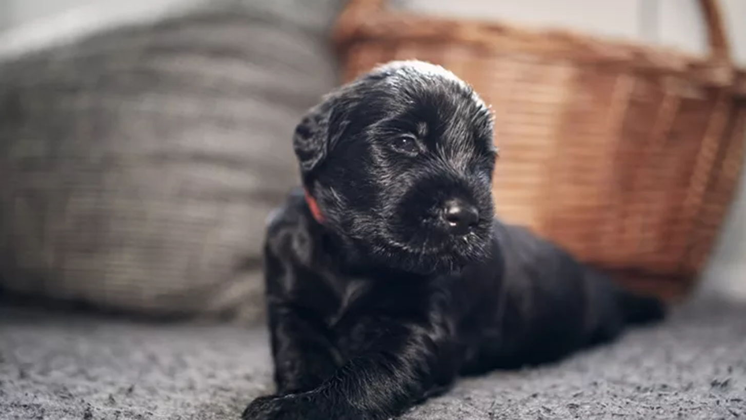 &#x39C;&#x3B9;&#x3B1; &#x3B1;&#x3B3;&#x3BA;&#x3B1;&#x3BB;&#x3B9;&#x3AC; &#x3B3;&#x3B9;&#x3B1; &#x3C0;&#x3AC;&#x3BD;&#x3C4;&#x3B1; | &#x3A0;&#x3CE;&#x3C2; &#x3AD;&#x3BD;&#x3B1; &#x3B1;&#x3B4;&#x3B5;&#x3C3;&#x3C0;&#x3BF;&#x3C4;&#x3AC;&#x3BA;&#x3B9; &#x3BC;&#x3BF;&#x3C5; &#x3AD;&#x3C3;&#x3C9;&#x3C3;&#x3B5;, &#x3BA;&#x3C5;&#x3C1;&#x3B9;&#x3BF;&#x3BB;&#x3B5;&#x3BA;&#x3C4;&#x3B9;&#x3BA;&#x3AC;, &#x3C4;&#x3B7; &#x3B6;&#x3C9;&#x3AE;